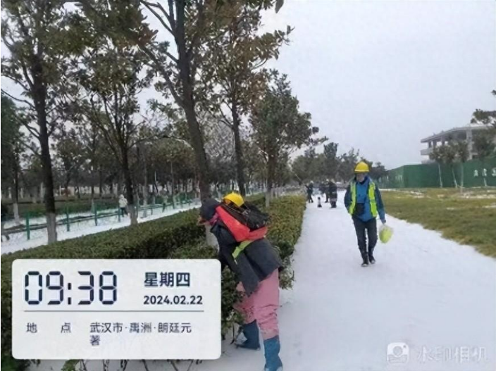 迎战冰雪保畅通 武汉经开区处理树木断枝千余处