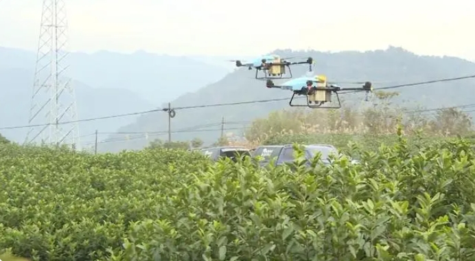 竞逐“低空经济”新赛道 这项万亿级产业在新昌“迎风起飞”